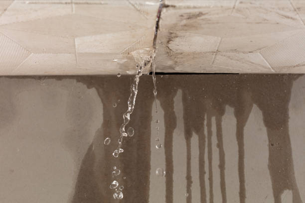 Professional Water Damage Repair technician working in Grapevine, TX